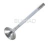 BUGIAD BSP23313 Exhaust Valve